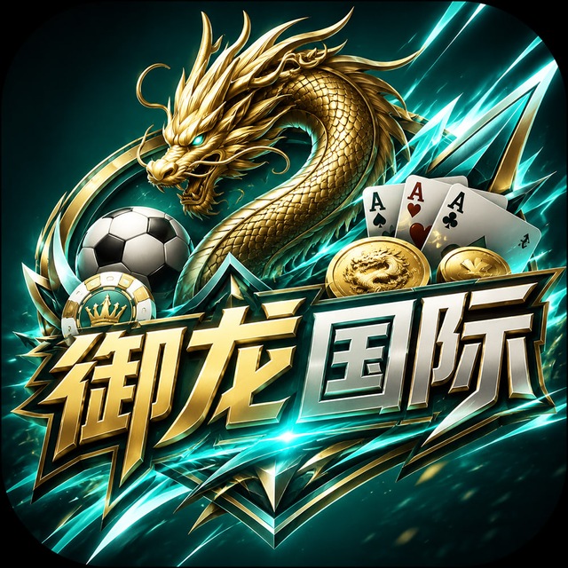 御龙国际